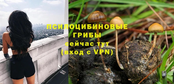 mix Алексеевка