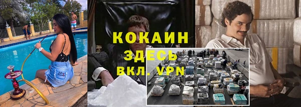 прущая мука Алзамай