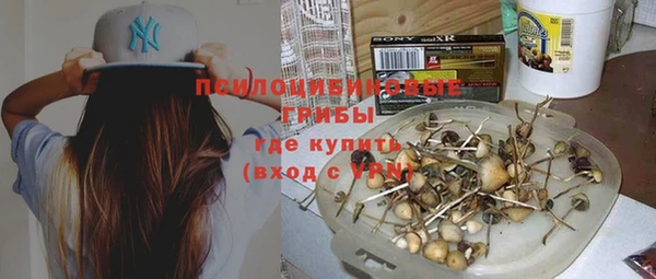 прущая мука Алзамай